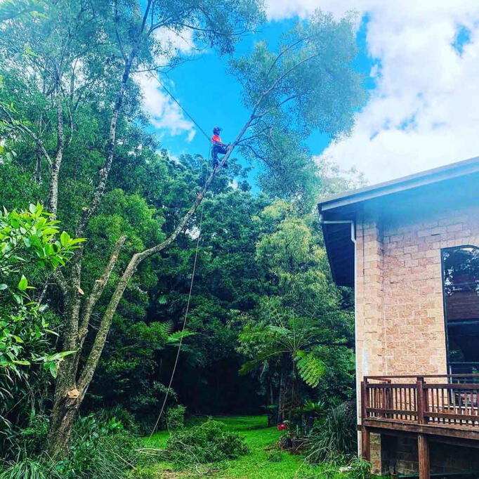 Roof clearances in Huonbrook Roof clearances in Huonbrook