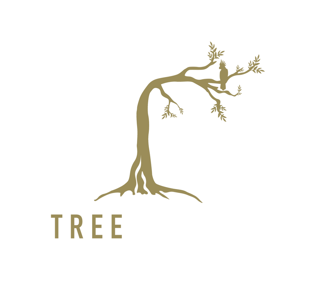TreeCulture logo – the tree care specialists in Northern Rivers